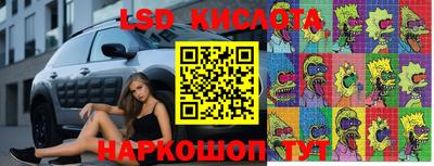 2c-b Сланцы