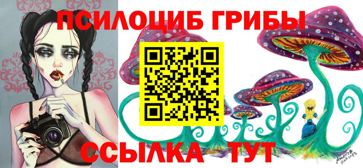 Галлюциногенные грибы Psilocybine cubensis  Галлюциногенные грибы Psilocybe  Полысаево  Вход с VPN 